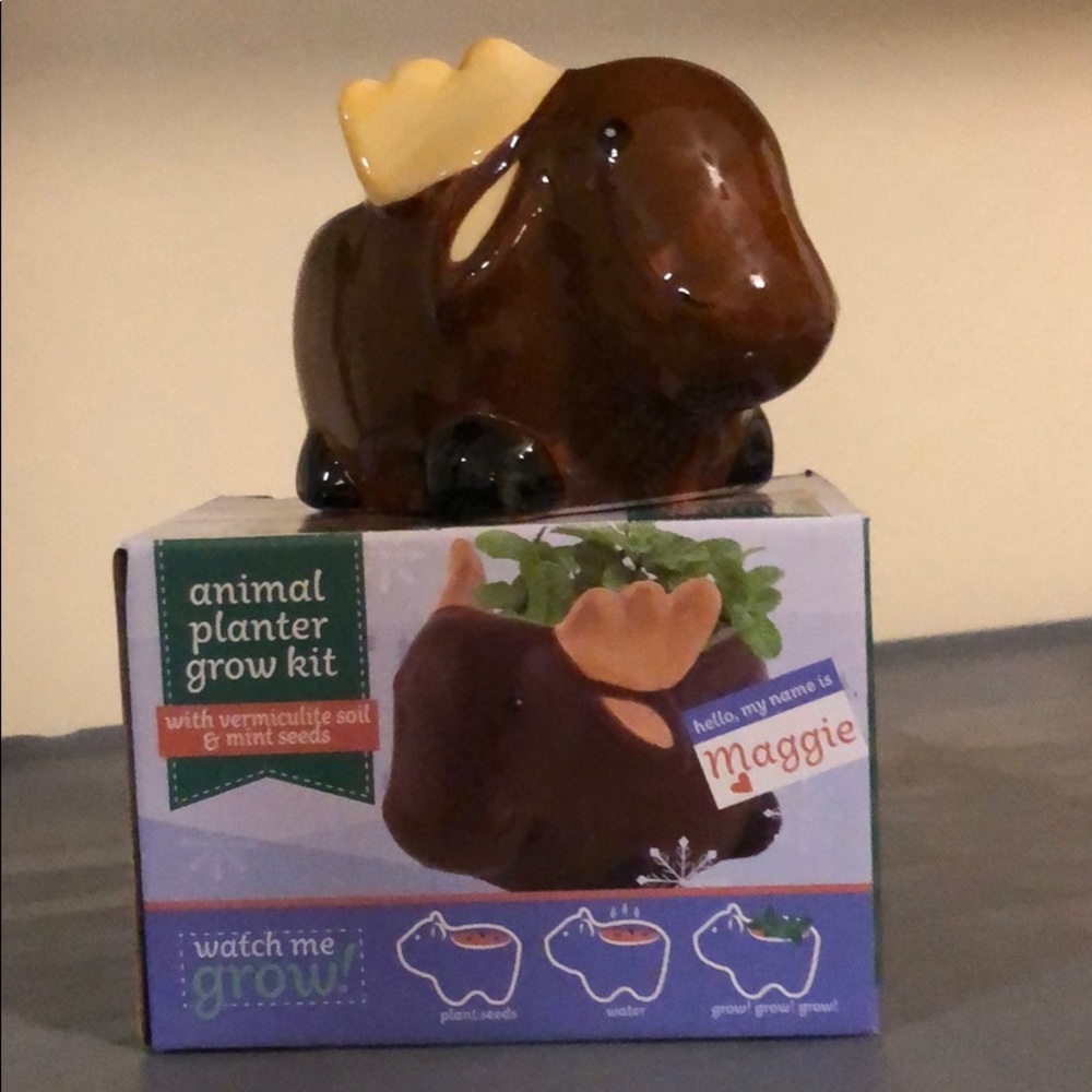 Animal Planter Grow Kit. Maggie. New.